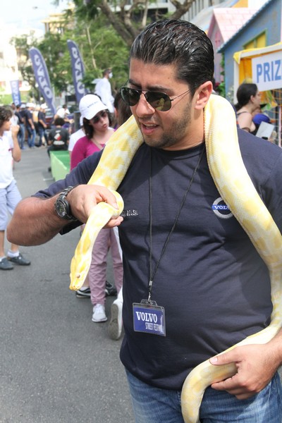 Volvo Street Festival